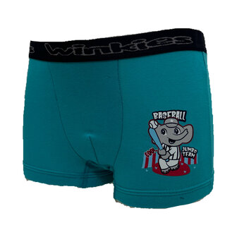 boxer turquoise