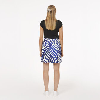 func factory blue zebra