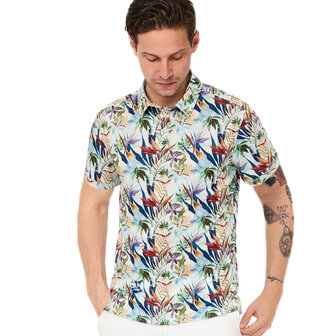 polo tropic