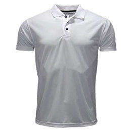 AP get Updated heren Polo wit